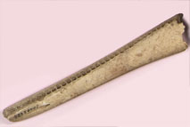 �}�C���J��