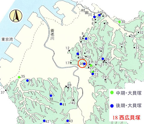 �s���s���̊L�˕��z�}