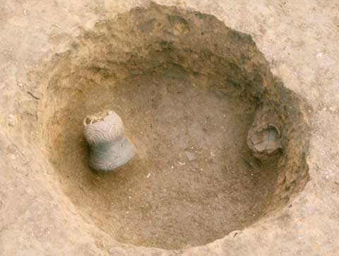 称名寺式深鉢形土器