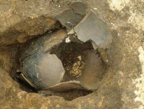 堀之内1式深鉢形土器