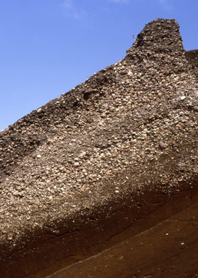 ���L�L�˂̏��L�w