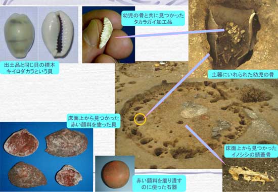 �^�J���K�C�o�y��