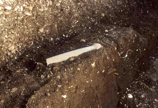 �Ζ_�o�y��