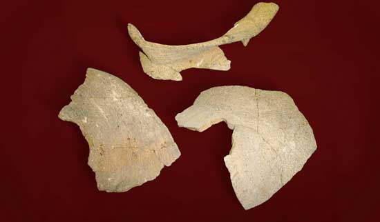 ���A�y��