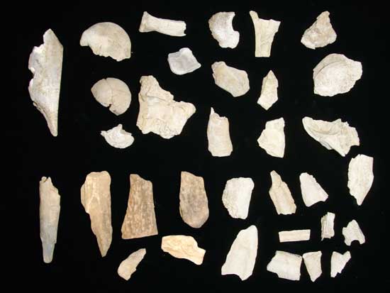 �Ă����b��