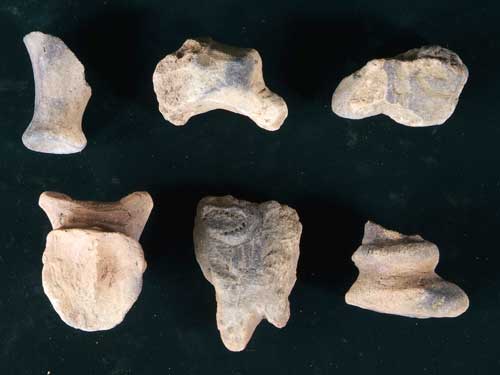 ���L�L�˓y��