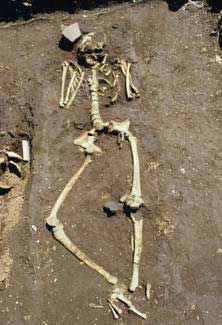 ���L�L�ˁ@�l��