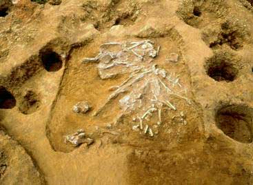 �_�����L�ˁ@�ꕶ���㑽��̖���