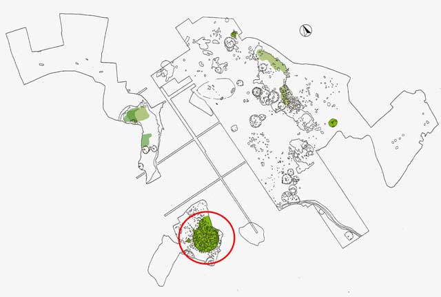 西広貝塚 縄文後期後葉