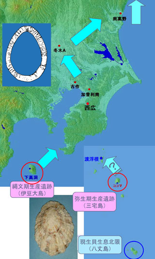 �I�I�c�^�m�n�̓`�d��