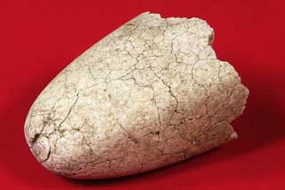 �q�X�C���