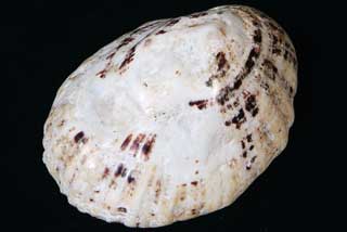 �I�I�c�^�m�n�����W�{