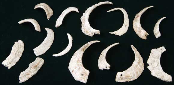 �I�I�c�^�m�n���L�ցE����