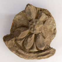 ���x�p�����ۊ�