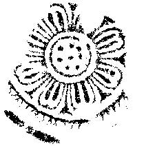 ���m�p�����ۊ�