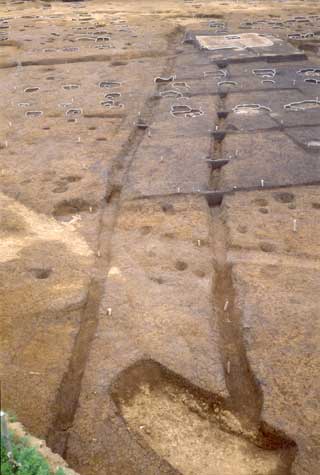 �㑍�����m���̌��ݓ��H