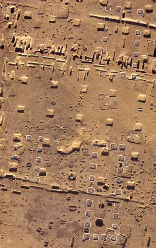 �㑍�����m���n�����̑����{�݂�