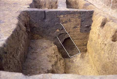 �㑍�����m���n�����̔�����