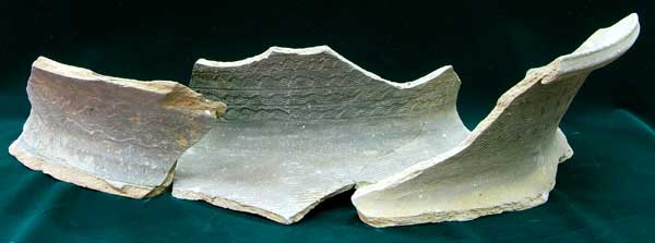 �㑍�����m���o�y�̐V���Y�{�b���P