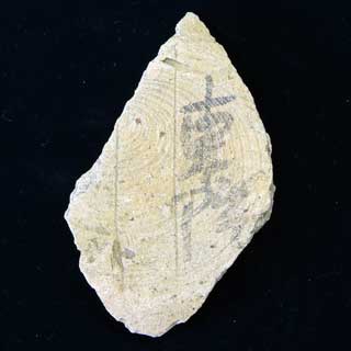 �n���u���@�v