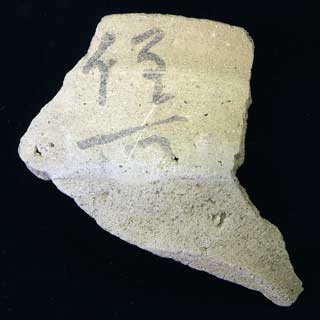 �n���u�o���v