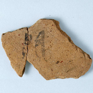 �n���u��v