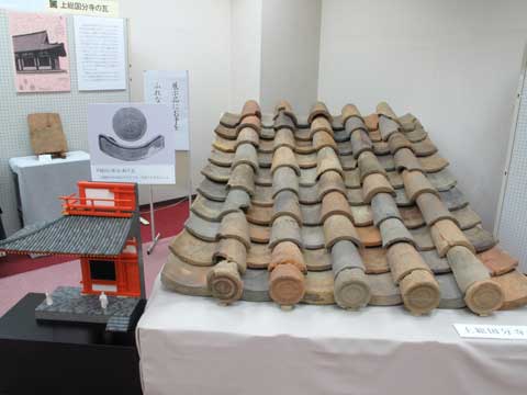 �㑍�����m���̊��W��