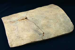 �㑍�����m���o�y�u���v��������