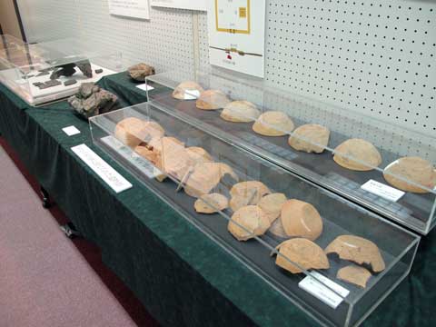 ��������O���ɑ�j���̂Ă�ꂽ�㑍�������̈╨