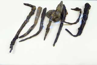 �㑍�����m���̓B