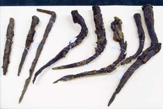 �㑍�����m���̓B