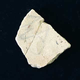 �u�~�v���n���t04