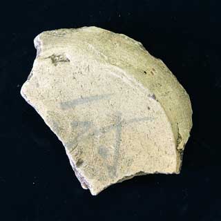 �u�~�v���n���t05