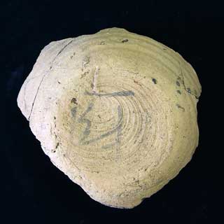 �u�~�v���n���t08