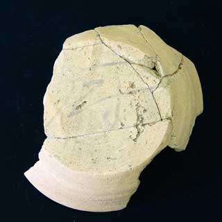 �u�~�v���n���t10