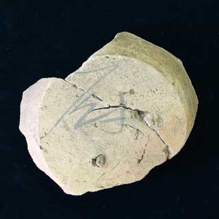 �u�~�v���n���t12