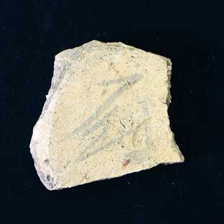 �u�~�v���n���t19