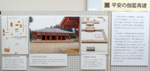 �u�[�X7�@�W�����i