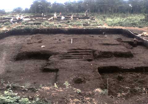 ���m�����1����d