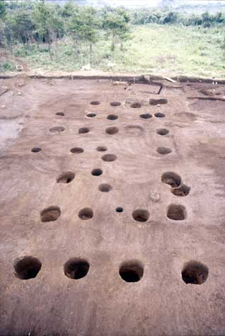 ���m�����1��������