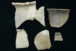 �����n����