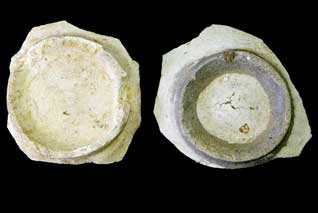 �����Y�R���q