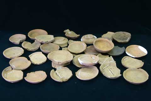 �J�����P�i���M�j