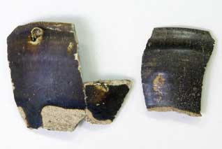 ���ˁE���Z�n�V�ڒ��q