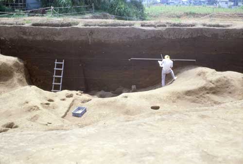 ���������̍̓y��