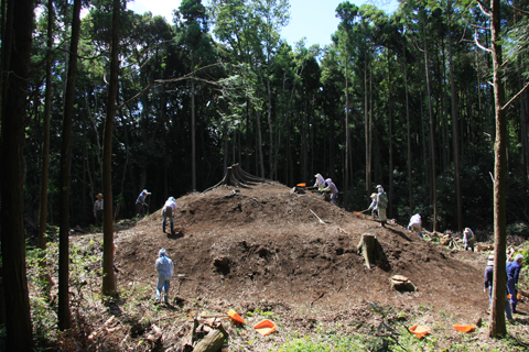 ���`�O�i�̒ˁi����n���ˁj