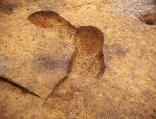 �V��Ԙa�c��Ձ@��䎞�㑁����t�̘F��