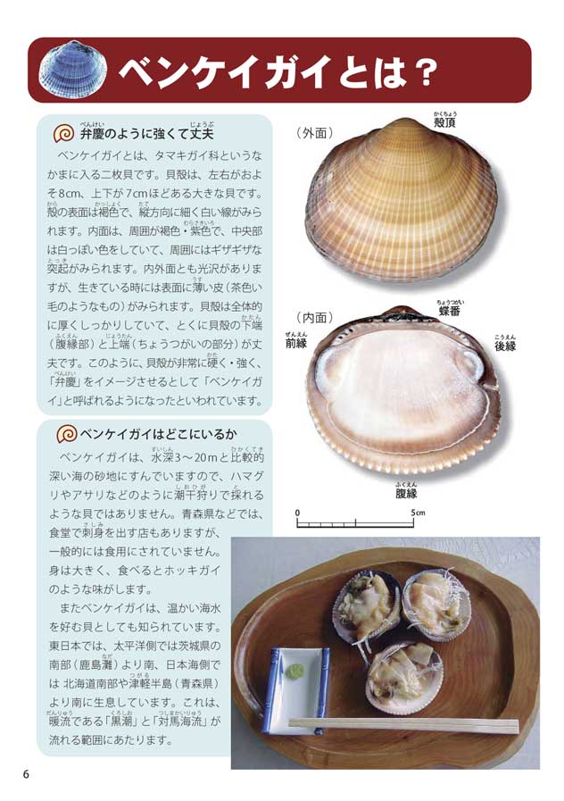 �x���P�C�K�C�Ƃ�