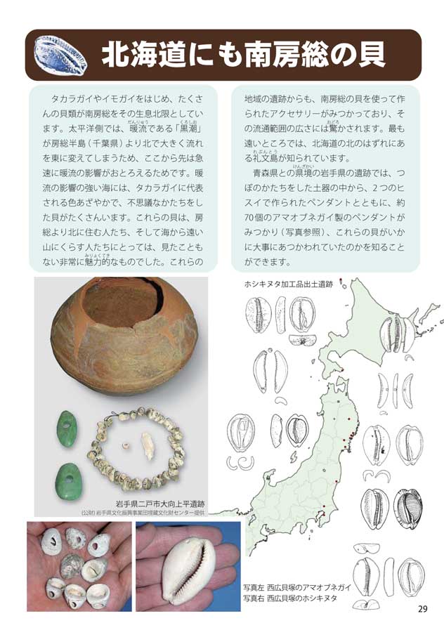 �k�C���ɉ^�΂ꂽ�ꕶ����̊L