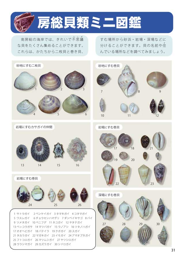 �[���L�}��